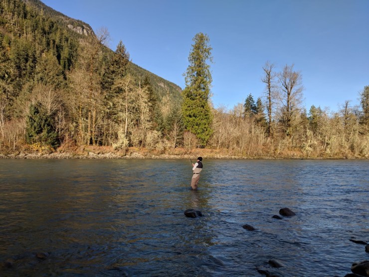 b53cf718-a831-4dff-97f4-feaae0ea6a1a